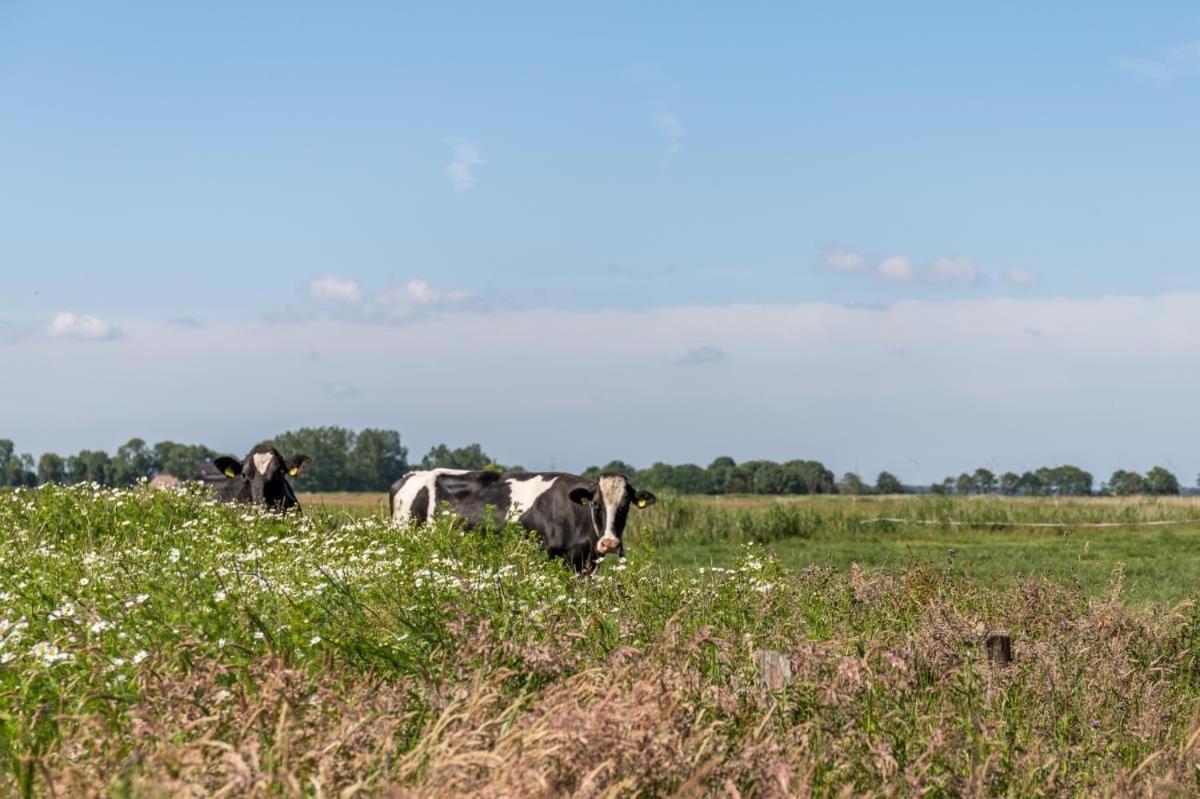 Friesenhof Janssen - Urlaub Auf Dem Bauernhof Appartement Neuharlingersiel Buitenkant foto