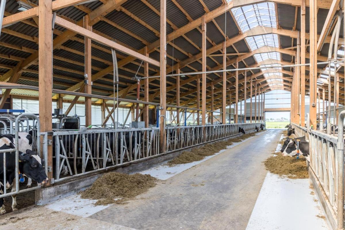 Friesenhof Janssen - Urlaub Auf Dem Bauernhof Appartement Neuharlingersiel Buitenkant foto