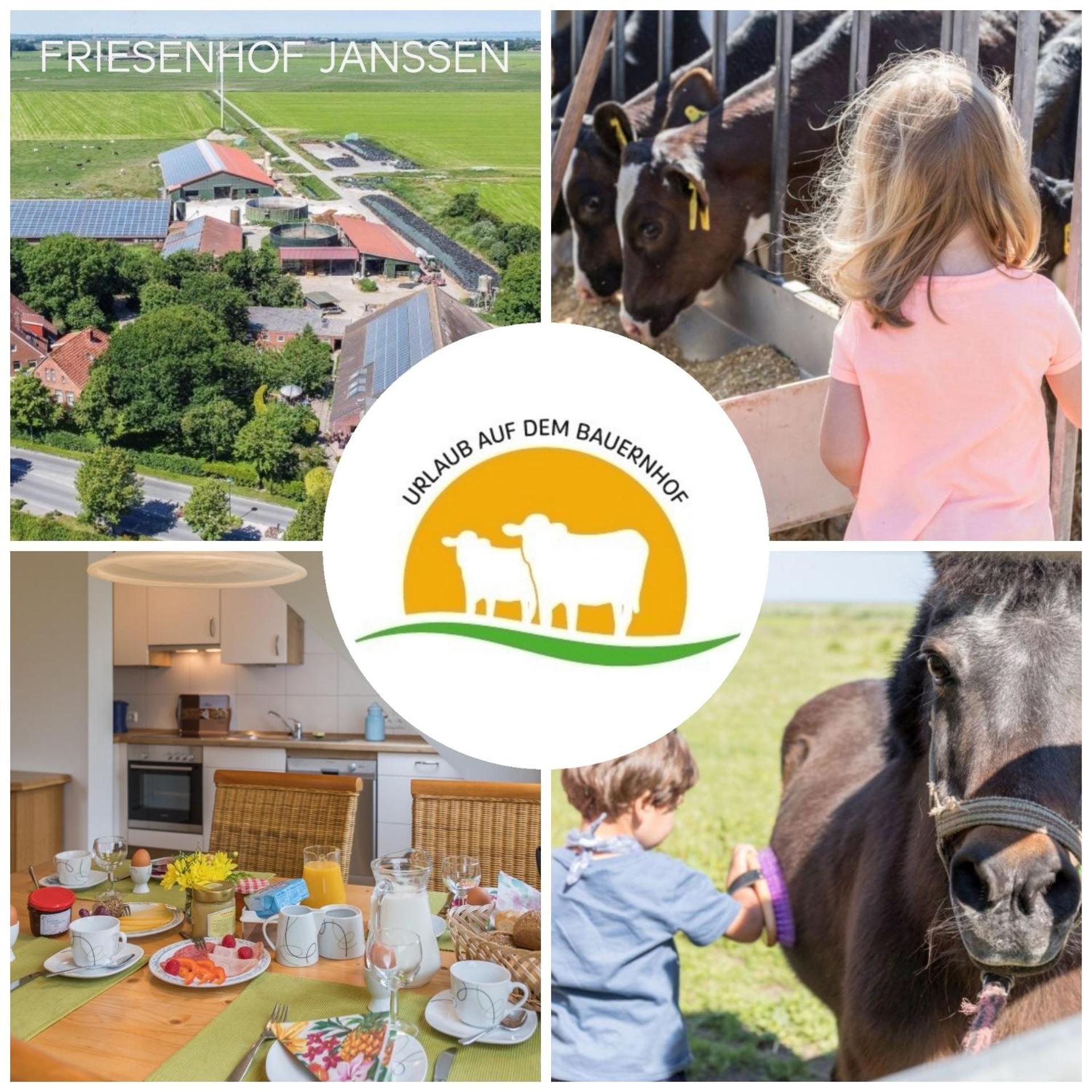 Friesenhof Janssen - Urlaub Auf Dem Bauernhof Appartement Neuharlingersiel Buitenkant foto